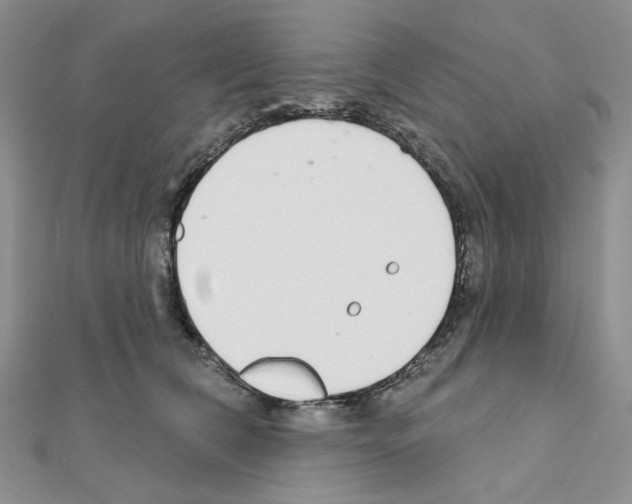 X0000110980612200907310951