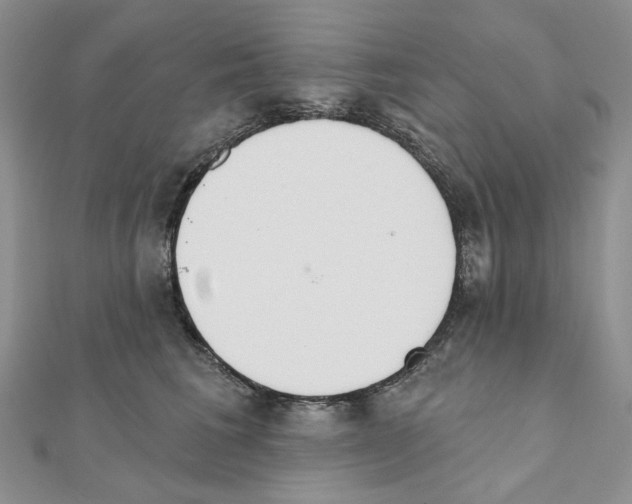 X0000110980613200907310951