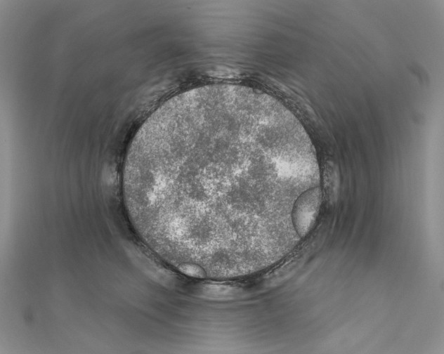 X0000110980614200907310951