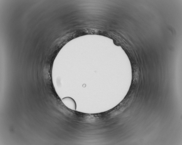 X0000110980616200907310951