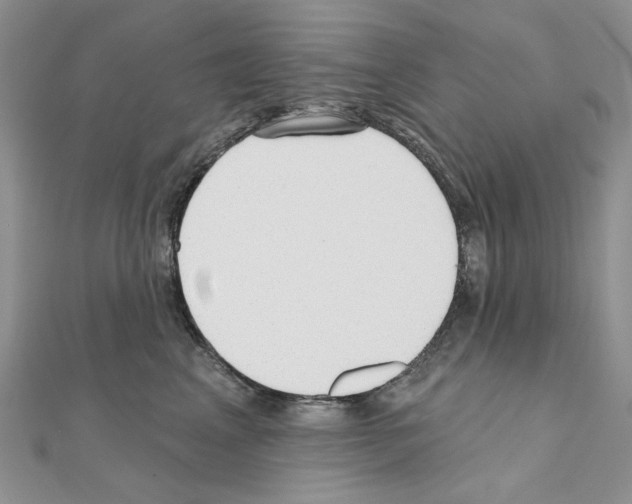 X0000110980617200907310951