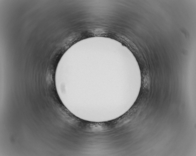 X0000110980618200907310951