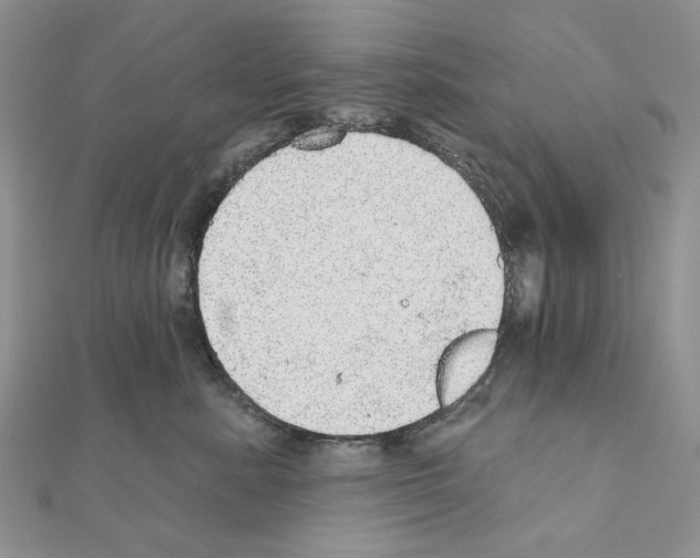 X0000110980619200907310951