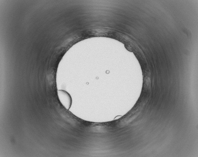 X0000110980620200907310951