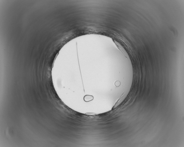 X0000110980621200907310951