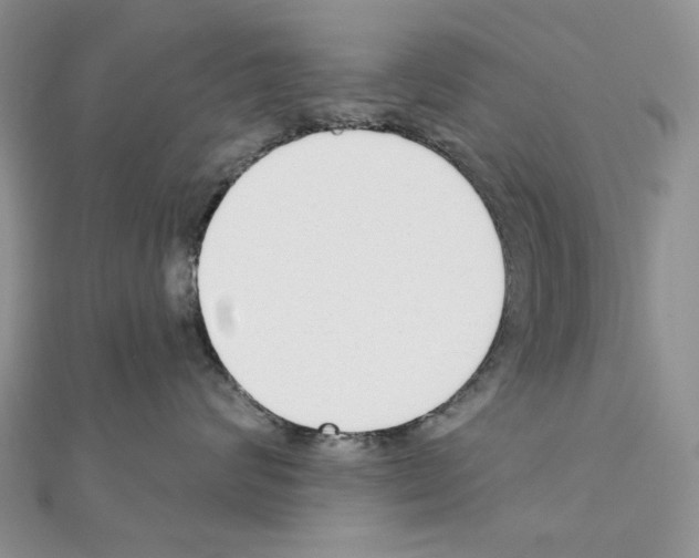 X0000110980624200907310950