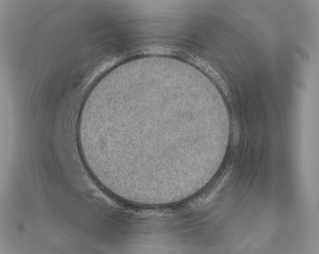X0000110980625200907310950