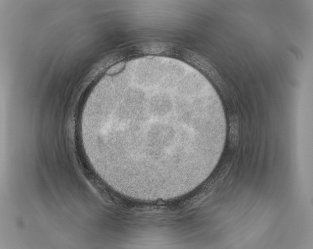 X0000110980626200907310950
