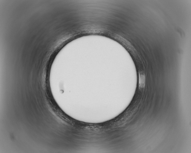 X0000110980627200907310950