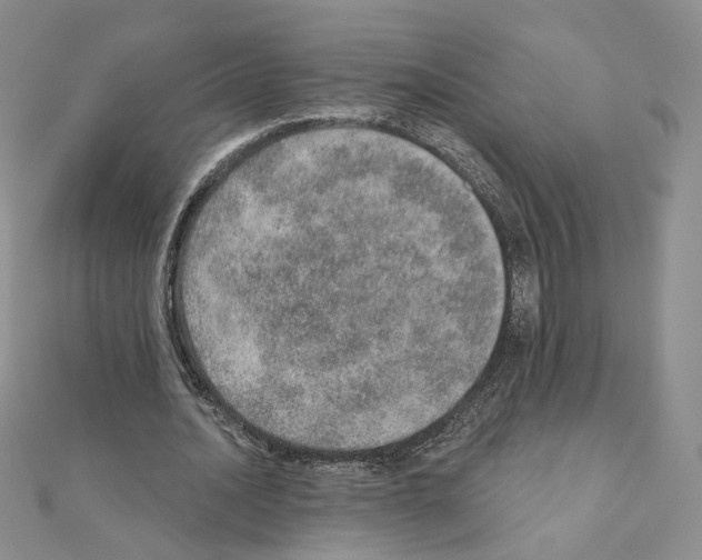 X0000110980628200907310950