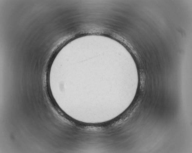 X0000110980629200907310950