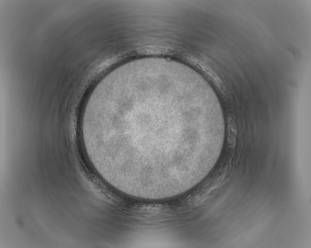 X0000110980631200907310950