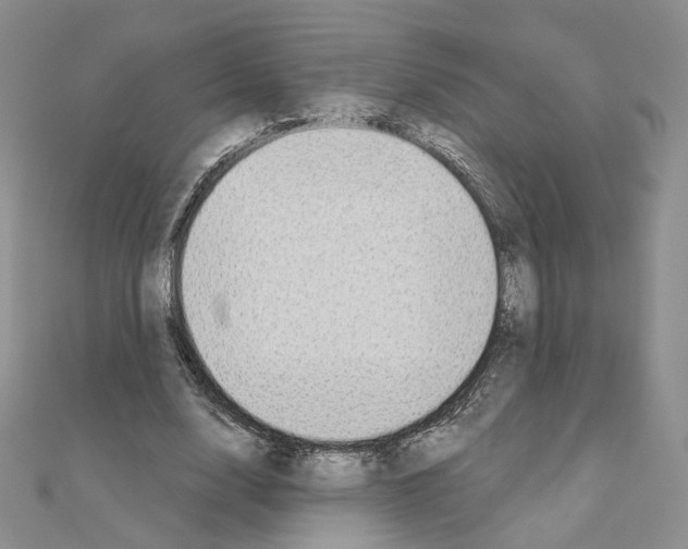 X0000110980632200907310950