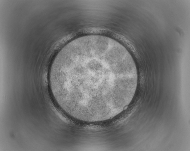 X0000110980633200907310950