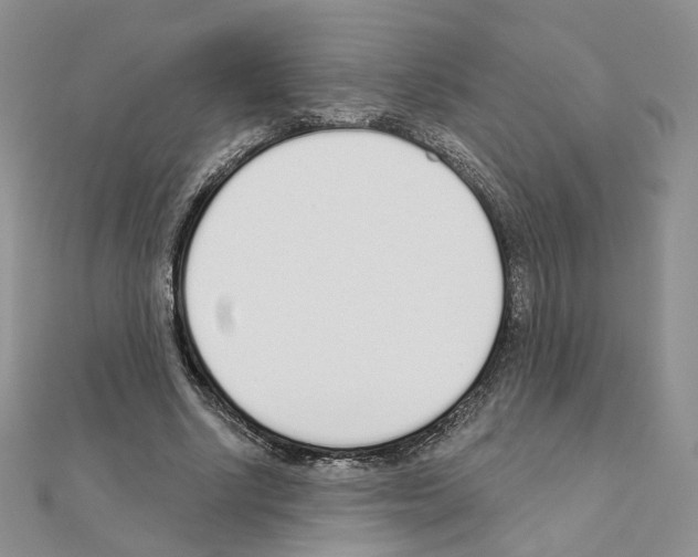 X0000110980634200907310950