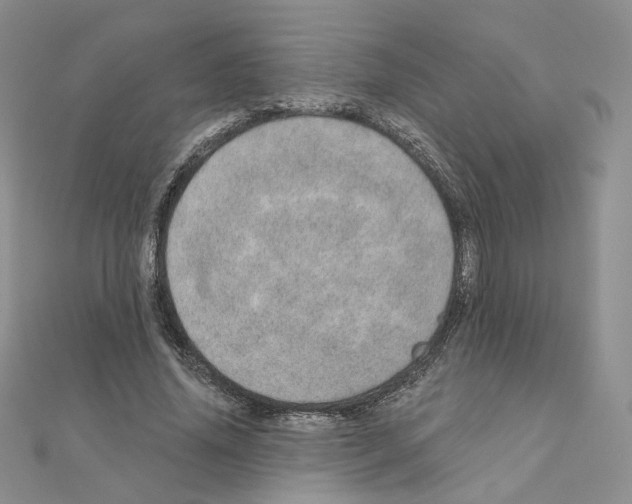 X0000110980636200907310950