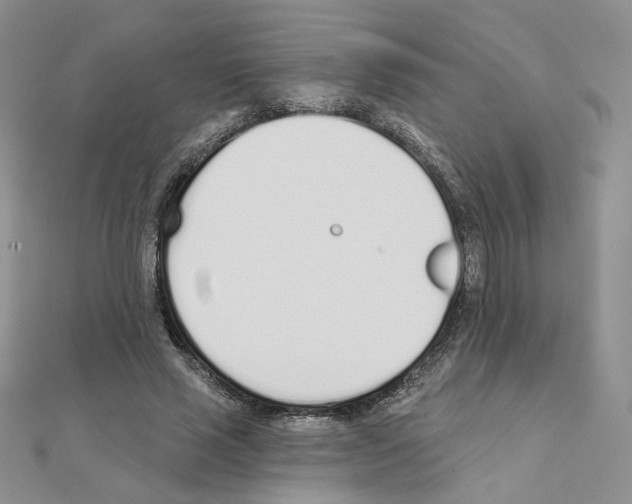 X0000110980637200907310950