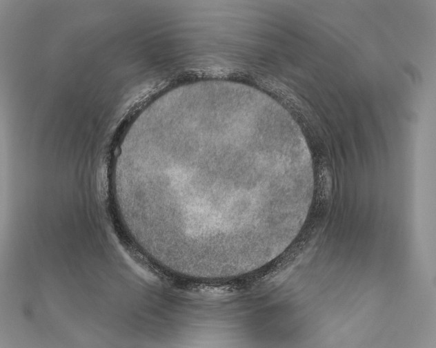 X0000110980638200907310950