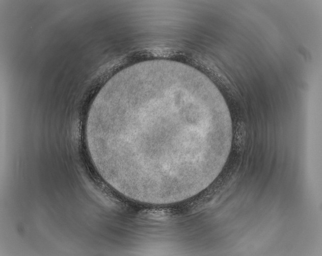 X0000110980639200907310950