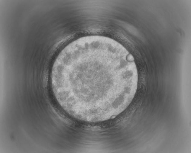 X0000110980640200907310950