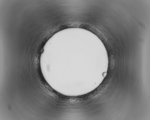 X0000110980641200907310950