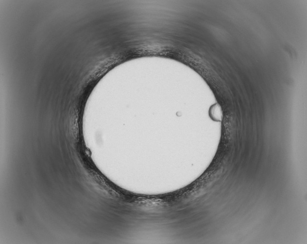 X0000110980642200907310950