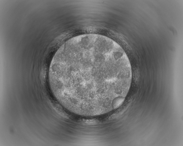 X0000110980645200907310950