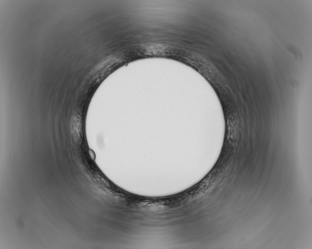 X0000110980648200907310950