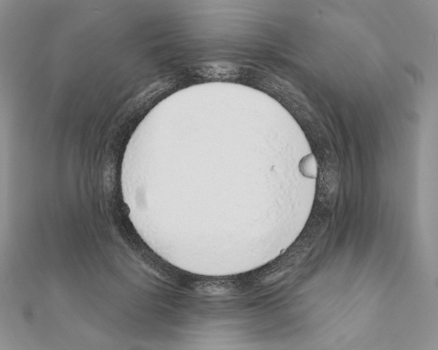 X0000110980652200907310950