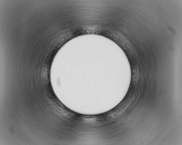 X0000110980653200907310950
