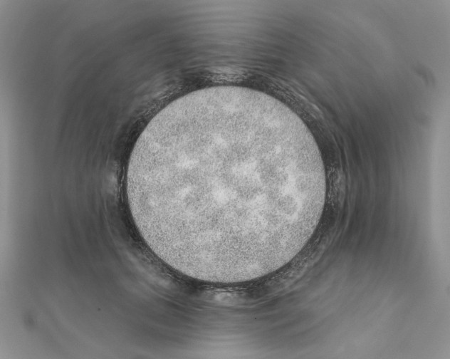 X0000110980655200907310950