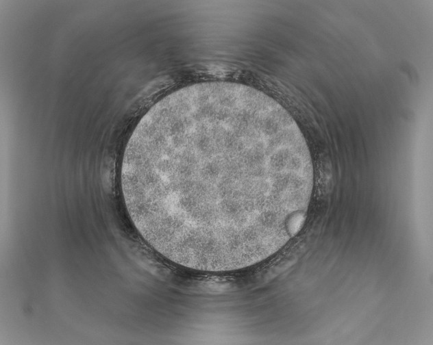 X0000110980656200907310950