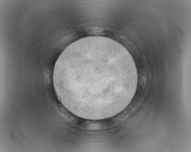 X0000110980658200907310950