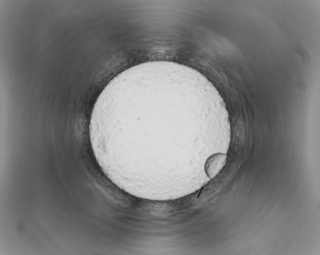 X0000110980659200907310950
