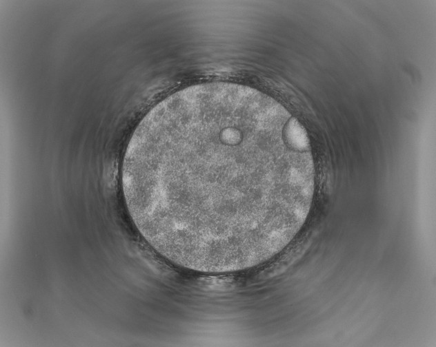X0000110980660200907310950