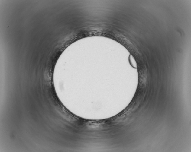 X0000110980661200907310950