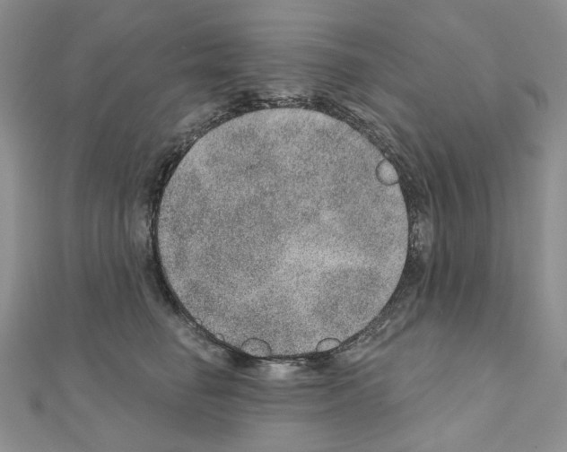 X0000110980662200907310950