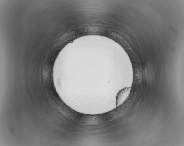 X0000110980663200907310950