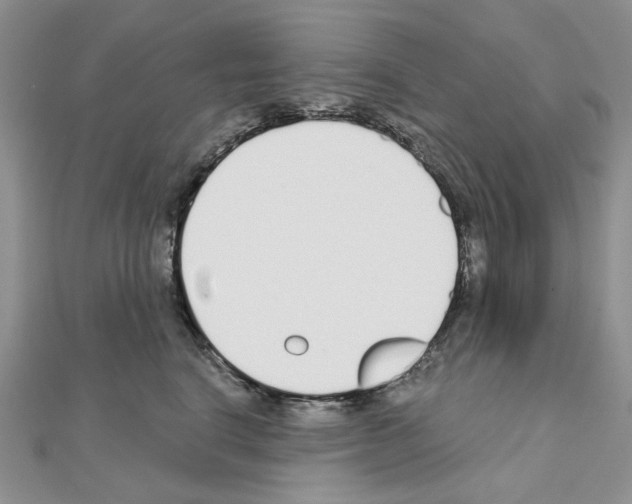 X0000110980664200907310950