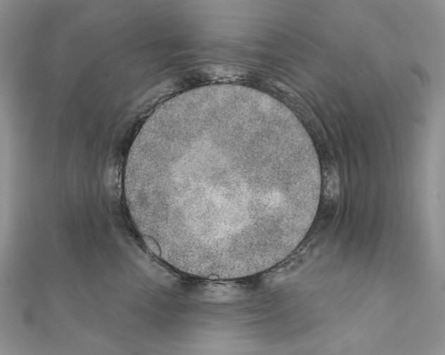 X0000110980666200907310950