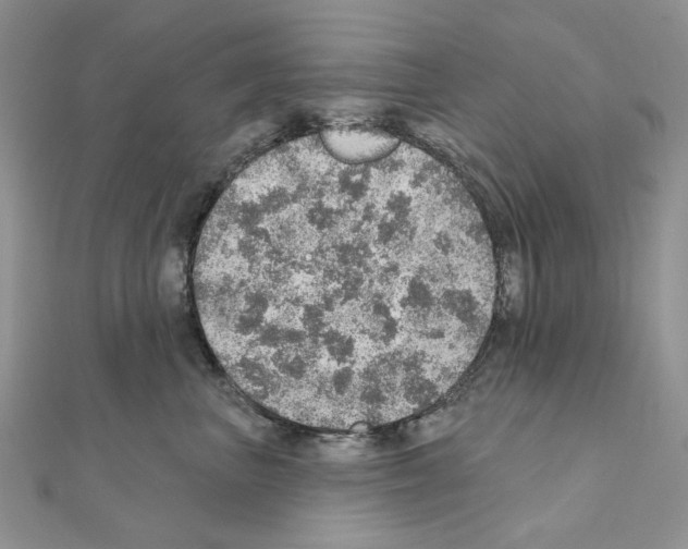 X0000110980667200907310950