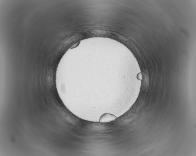 X0000110980668200907310950
