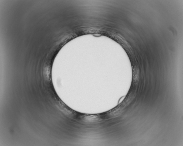 X0000110980669200907310950