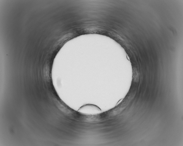 X0000110980670200907310950