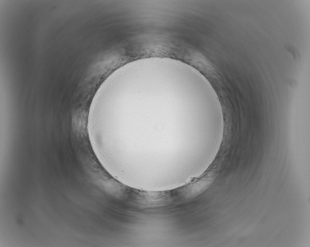 X0000110980672200907310950