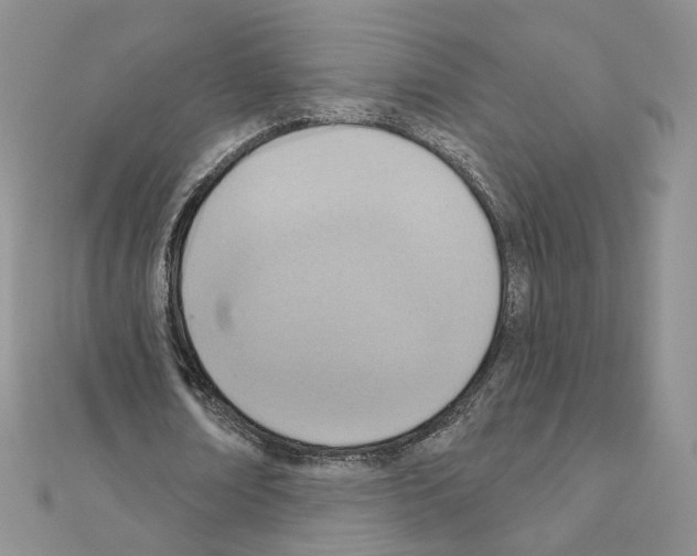 X0000110980674200907310950