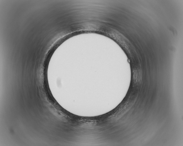 X0000110980676200907310950