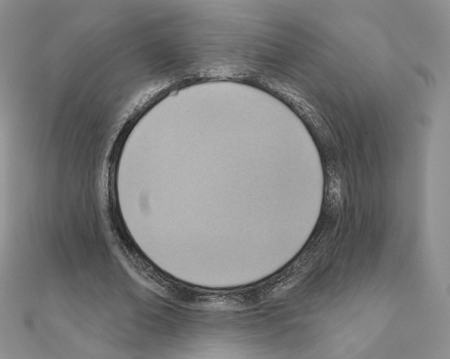 X0000110980678200907310950