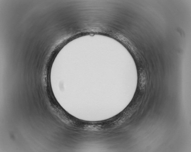 X0000110980680200907310950