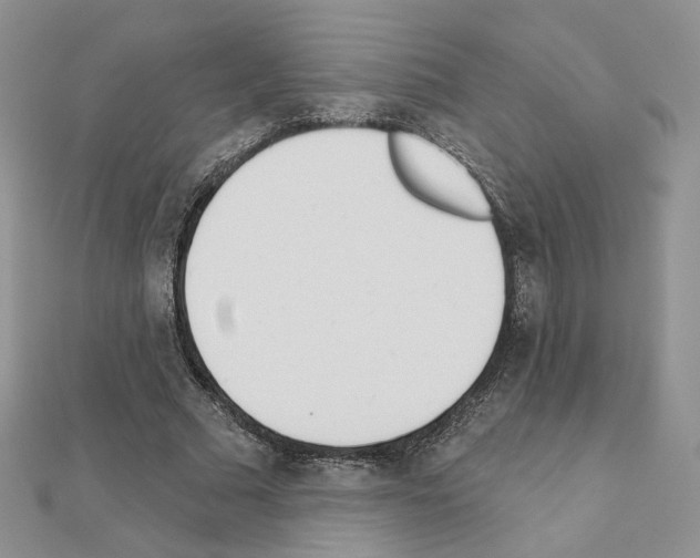 X0000110980681200907310950